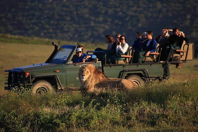 A preview image of the Interactive Safari tour.